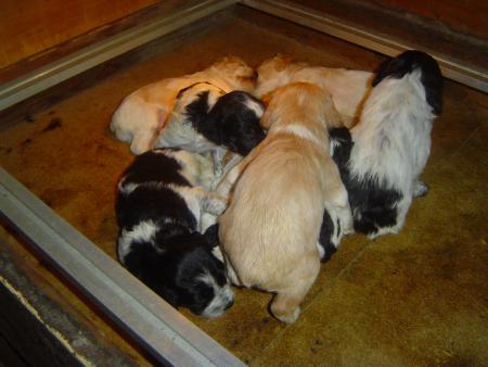 Ils ont maintenant 3 semaines