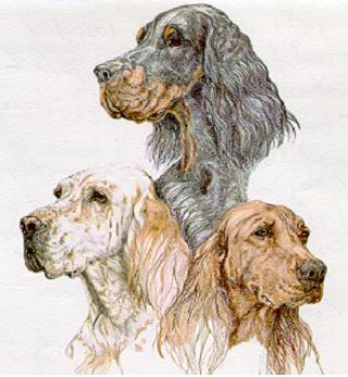 Bienvenue au Centre Canin du GOURG D'ENFER