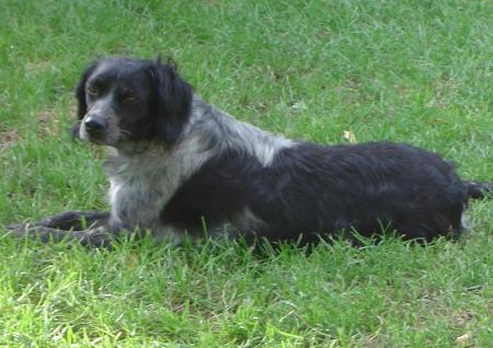 TOOTSIE DE LA STORIA