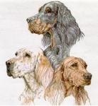 Espace Gourg-d-enfer