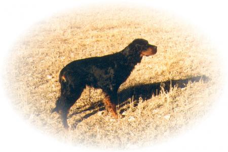 ARGOS DU VAL D'AULOUE