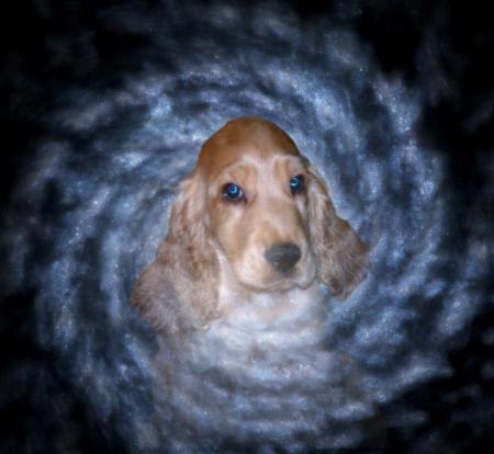 BONZA� DU GOURG D'ENFER