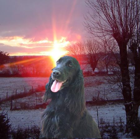 SKERRY DU GOURG D'ENFER