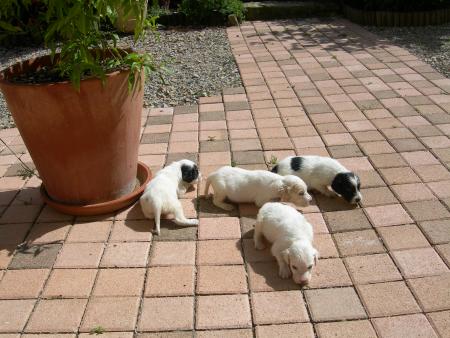 Les nouveaux n�s de Patty