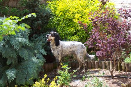 ARBIA DU GOURG D'ENFER