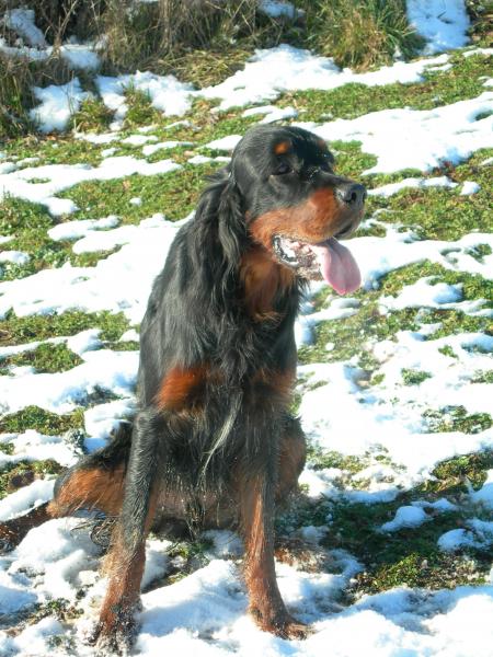 AMIRAL DU GOURG D'ENFER