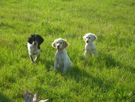 D�velopper l'instinct d'arr�t.