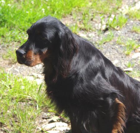 UP & GO DU GOURG D'ENFER