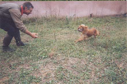Nuits d'Amour des Maloumy