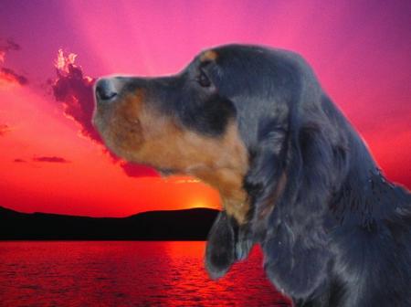 DREAM DU GOURG D'ENFER