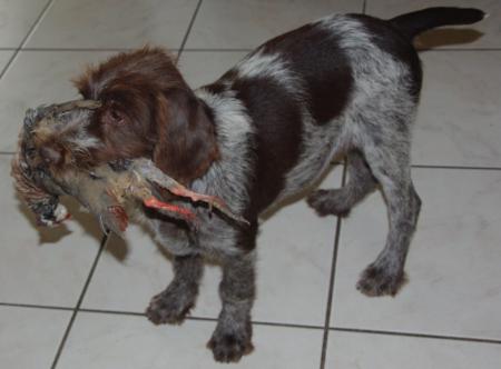 Delta du Gourg d'Enfer (3 mois)