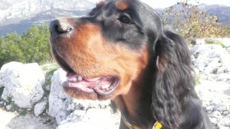 Dollar du Gourg d'Enfer